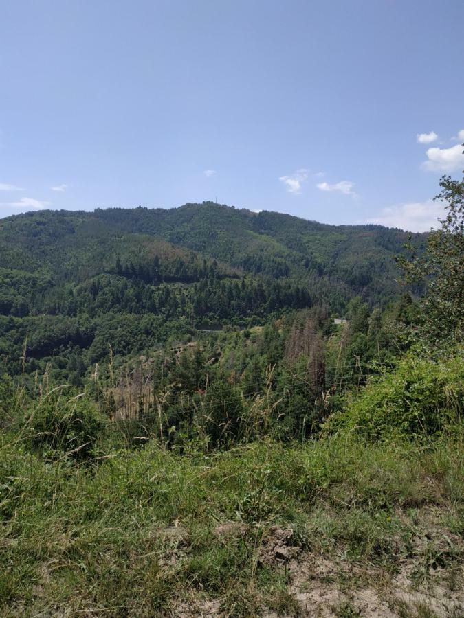 "Вила Баните" Kültér fotó